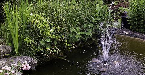 Teichbau