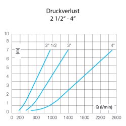 Edelstahl Rückschlagventil 2x Innengewinde 2 1/2" (75,18 mm)