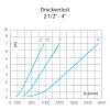 Edelstahl Rückschlagventil 2x Innengewinde 2 1/2" (75,18 mm)